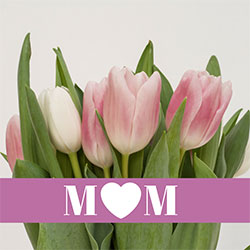 Boston O&P Employees Celebrate Their Moms on Mother’s Day