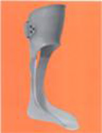 Ankle Foot Orthotics Afos Boston O P