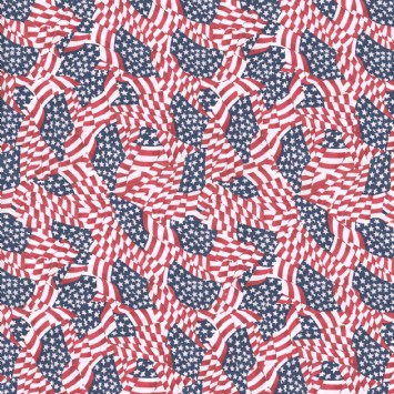 American Flags 33650